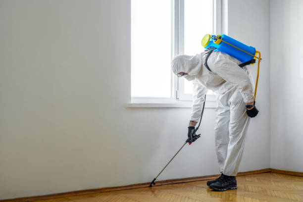 Emergency Pest Control Services in Boston Heights, OH